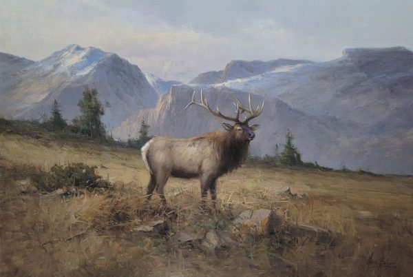 the roosevelt elk  20x30  3  180