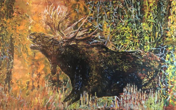 Moose48x36