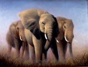 Tusks