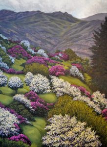 Blackthorns in May