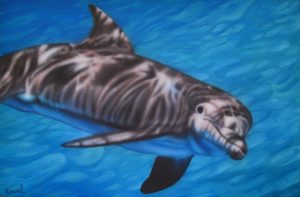 flipper