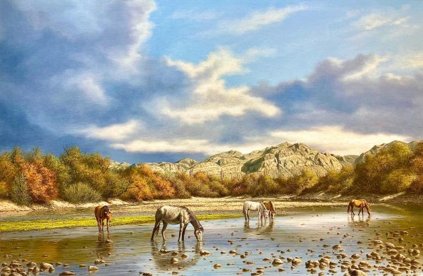 Macintosh Rob Salt River Wild Horses no frame