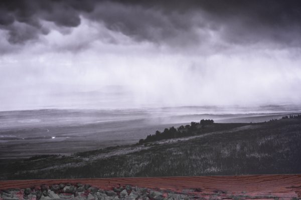 DSCF6970