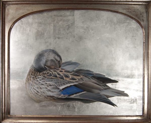 McGrory Preening In The Morning Mist
